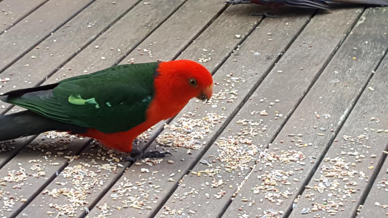 Wilsons Promontory Motel Foster Buitenkant foto